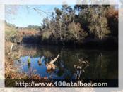 Click na foto para ampliar!