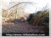 Click na foto para ampliar!