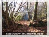 Click na foto para ampliar!