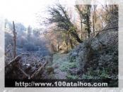 Click na foto para ampliar!