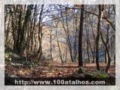 Click na foto para ampliar!