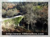 Click na foto para ampliar!