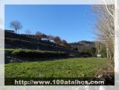 Click na foto para ampliar!