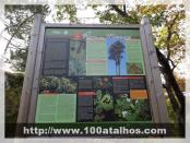 Click na foto para ampliar!