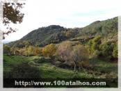 Click na foto para ampliar!