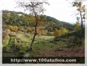 Click na foto para ampliar!