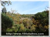 Click na foto para ampliar!