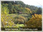 Click na foto para ampliar!