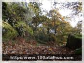 Click na foto para ampliar!