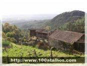 Click na foto para ampliar!