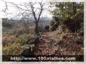 Click na foto para ampliar!