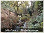 Click na foto para ampliar!