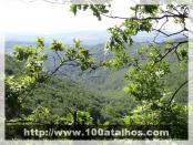 Click na foto para ampliar!