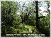 Click na foto para ampliar!