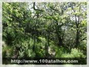 Click na foto para ampliar!