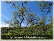 Click na foto para ampliar!