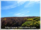 Click na foto para ampliar!