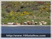 Click na foto para ampliar!