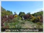 Click na foto para ampliar!