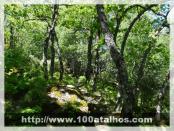 Click na foto para ampliar!