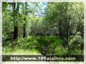 Click na foto para ampliar!