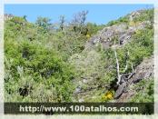 Click na foto para ampliar!