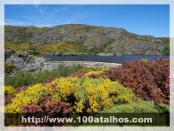 Click na foto para ampliar!