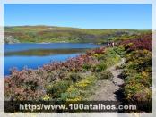 Click na foto para ampliar!