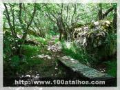 Click na foto para ampliar!