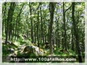 Click na foto para ampliar!