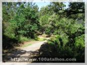 Click na foto para ampliar!