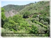 Click na foto para ampliar!