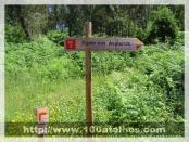 Click na foto para ampliar!