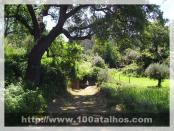 Click na foto para ampliar!