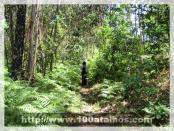 Click na foto para ampliar!