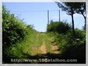 Click na foto para ampliar!