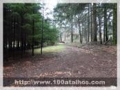 Click na foto para ampliar!