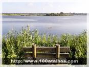 Click na foto para ampliar!