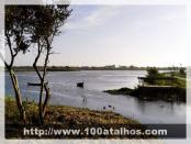 Click na foto para ampliar!