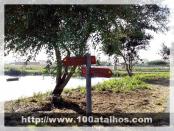 Click na foto para ampliar!