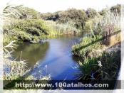 Click na foto para ampliar!