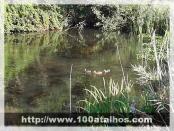 Click na foto para ampliar!