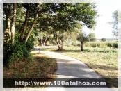 Click na foto para ampliar!