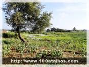 Click na foto para ampliar!