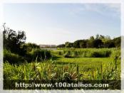 Click na foto para ampliar!