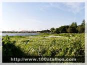 Click na foto para ampliar!