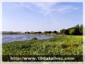 Click na foto para ampliar!