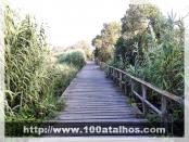 Click na foto para ampliar!