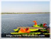 Click na foto para ampliar!