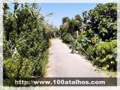 Click na foto para ampliar!